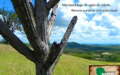 Não basta fugir do agito da cidade…